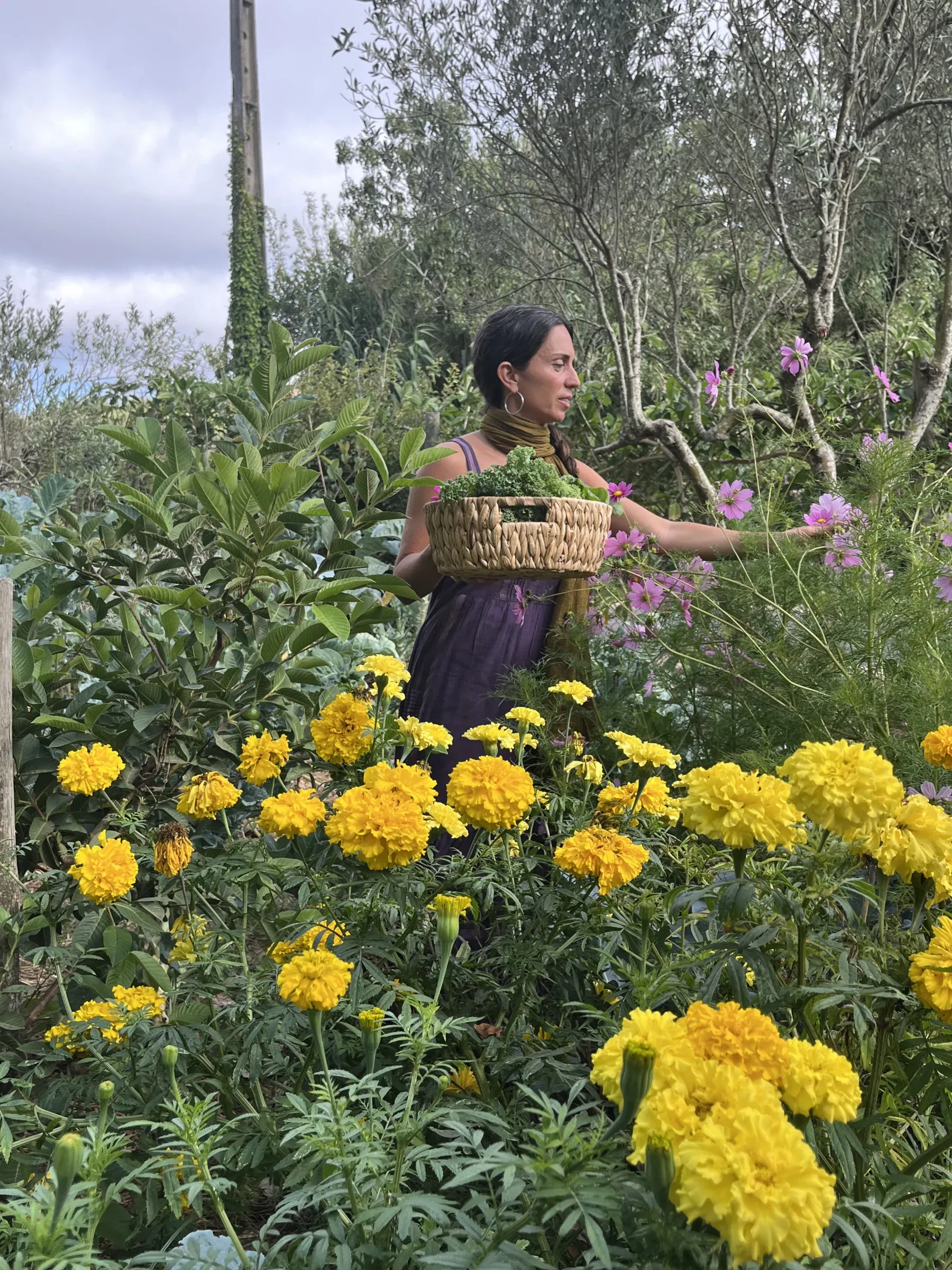 picking herbs