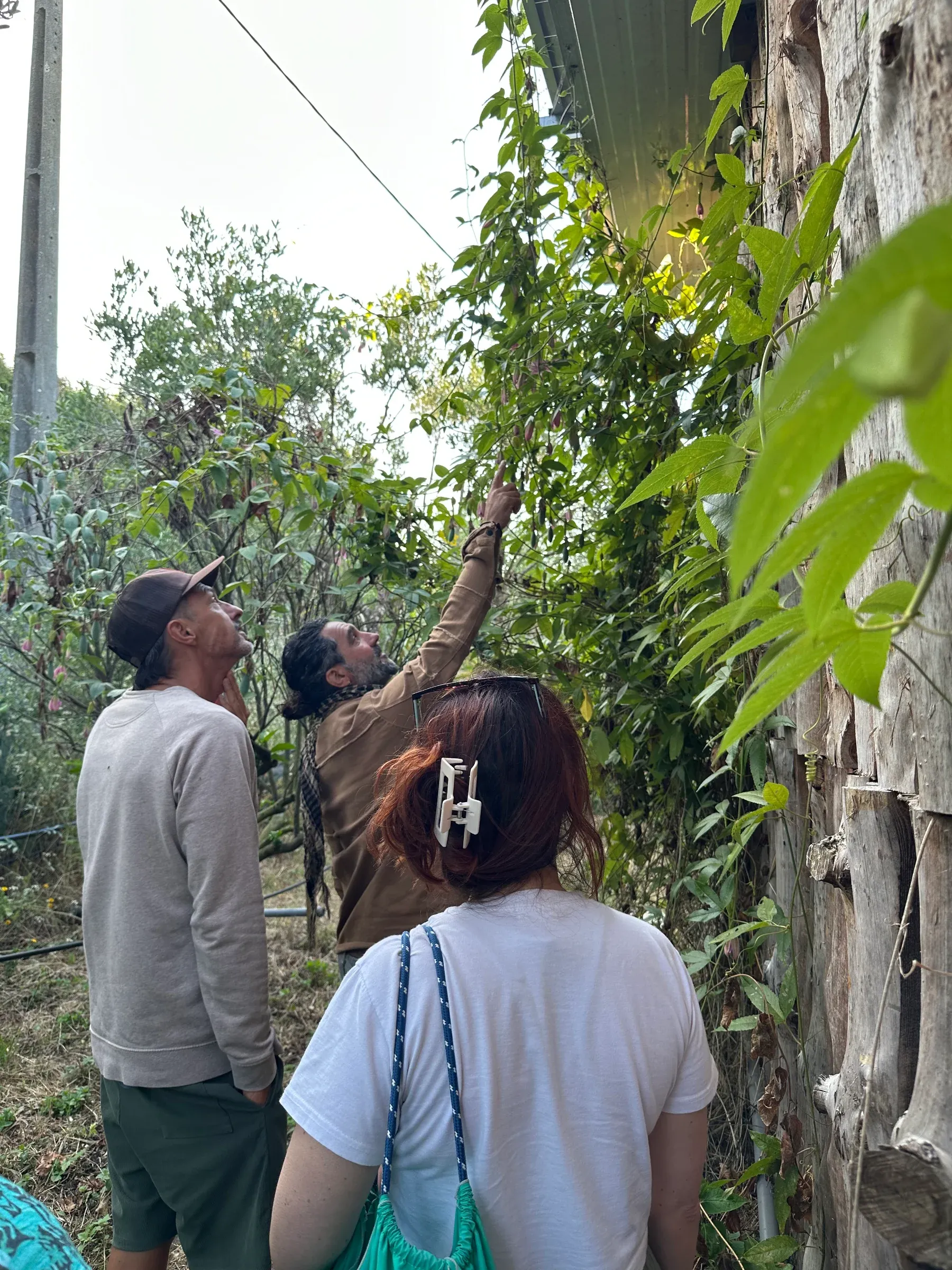 Forest garden tour